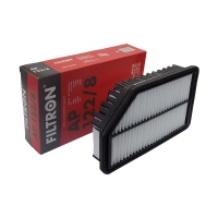 FILTRON AP 122/8 (A-Hyundai/Kia 281131R100, 5904608091222) AP1228